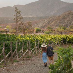 A couple walking along a vineyard path in Mendoza, Argentina, with mountains in the background.